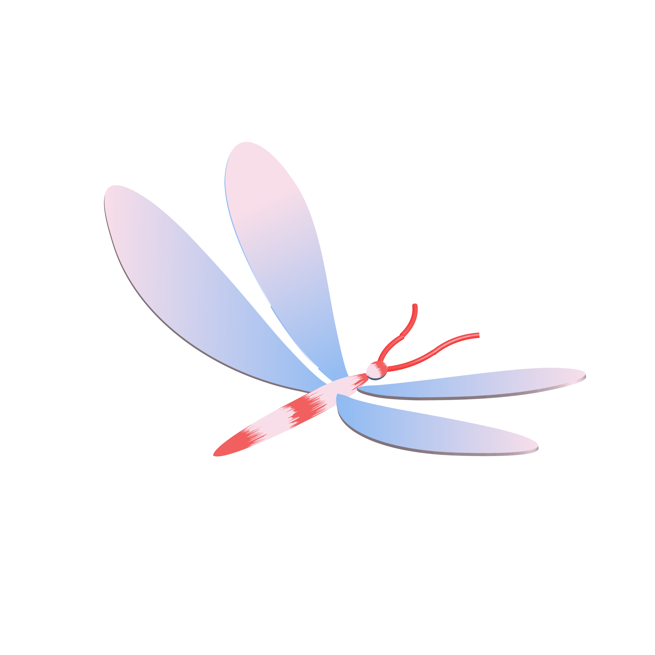 Dragonfly with pink and blue wings
